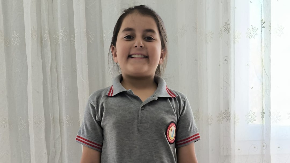 2025-2026 EĞİTİM ÖĞRETİM YILI VE SONRASI İÇİN  OKUL FORMAMIZ.
